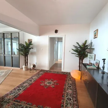 Beautiful T4 With A View Of The Gulf D'ajaccio *