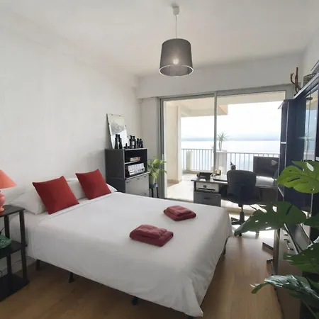 Beautiful T4 With A View Of The Gulf D'ajaccio 阿雅克肖