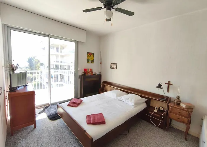 Beautiful T4 With A View Of The Gulf D'ajaccio *