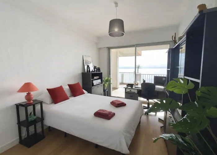 Beautiful T4 With A View Of The Gulf D'ajaccio Ajaccio (Corsica)